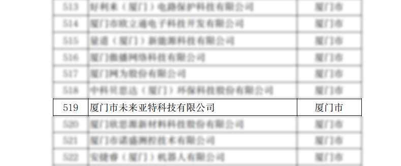 China's small technology giant enterprise
